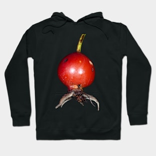 Wild rose fruit close-up Hoodie